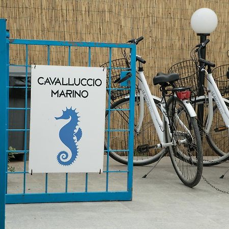 法维尼亚纳Cavalluccio Marino公寓 外观 照片
